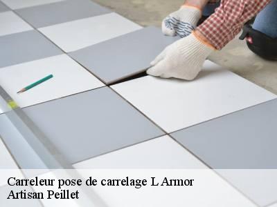 Carreleur pose de carrelage