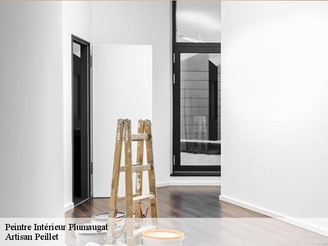 Peintre Intérieur plumaugat-22250 Artisan Peillet