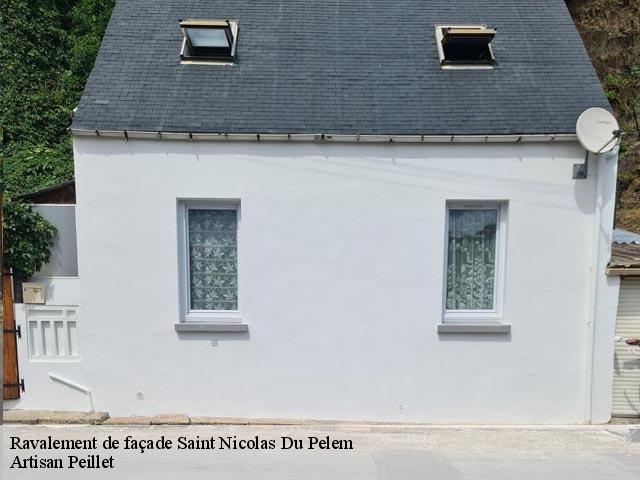Ravalement de façade  saint-nicolas-du-pelem-22480 Artisan Peillet