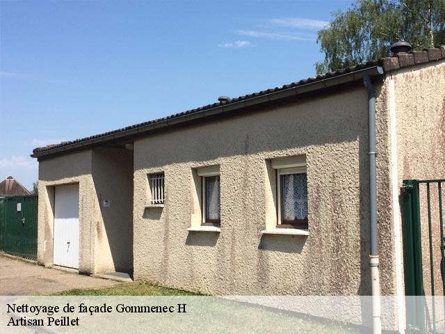 Nettoyage de façade  gommenec-h-22290 Artisan Peillet