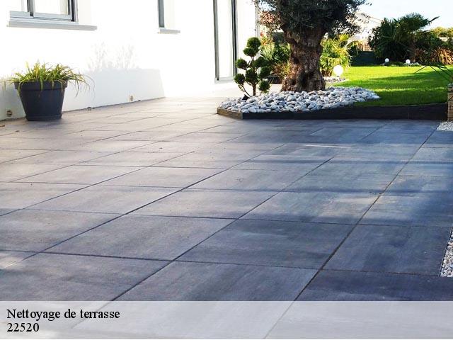 Nettoyage de terrasse  22520